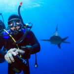 scuba with shark Revillagigedo Islands