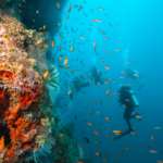 scuba photography with ventana travel