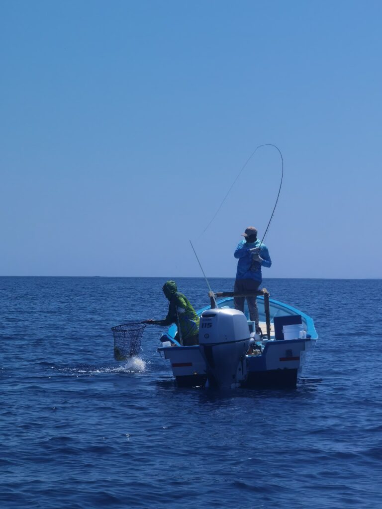 fly fishing rigged boats in magdalena bay