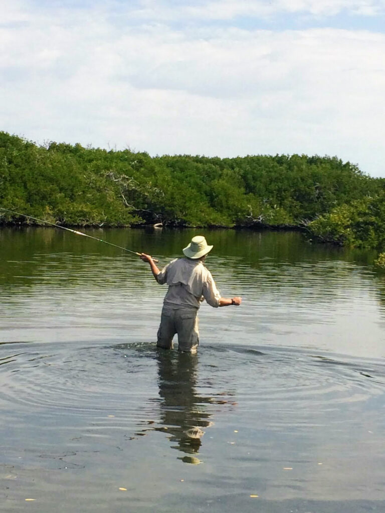 fly fish mangroves in magdalena bay baja