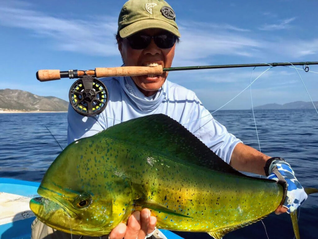 flyfish dorado in baja california sur net