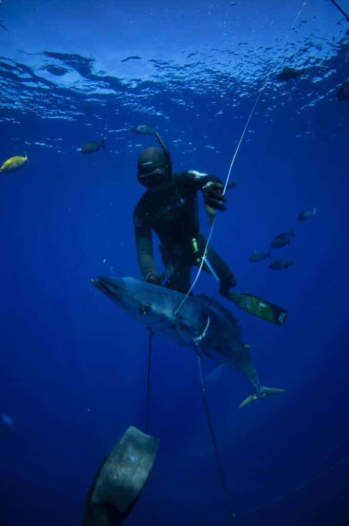 tuna sparfishing magdalena bay bcs mexico