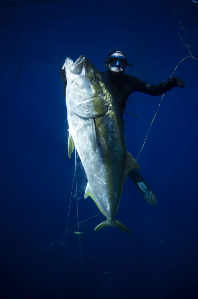 mag bay tuna spearfishing