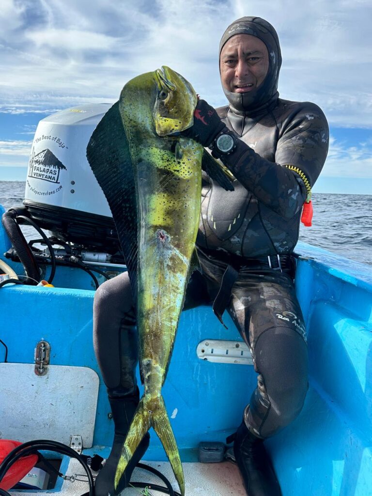 spearfishing bcs mexico ventana travel